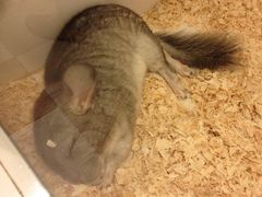 -龙猫仔乐园(惠福东路店)