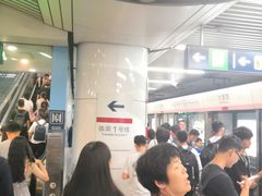 -大望路(地铁站)