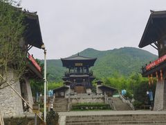 -大唐贡茶院