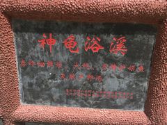 -黑河国家森林公园