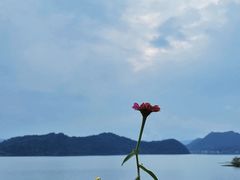 -杭州桐庐康莱德酒店西餐厅-舍