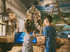 -自贡恐龙博物馆