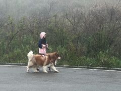 -龙里油画大草原旅游区
