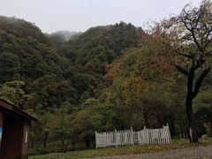 -大水川景区