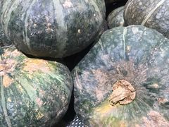 南瓜-西北农副产品中心批发市场(广安路店)