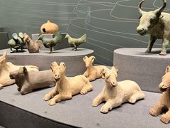 -广西壮族自治区博物馆