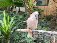 -南宫五洲植物乐园