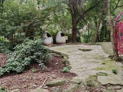 -木兰云雾山