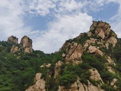 -大岭沟猕猴桃谷风景区