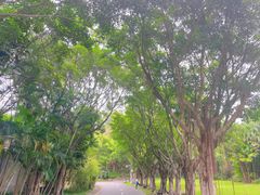 -深圳国际园林花卉博览园