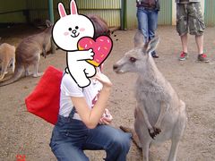 -费瑟代尔野生动物园