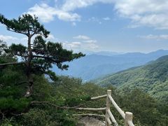 -牛背梁国家森林公园