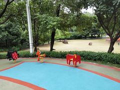 -金鸡山公园