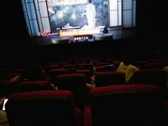 -万达影城(闵行颛桥万达广场杜比影院店)