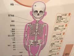 -大阪儿童乐园