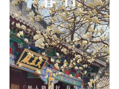 -护国法轮寺