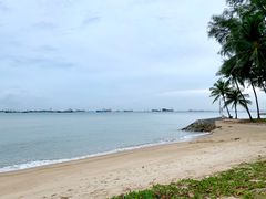 -东海岸人工湖美食村