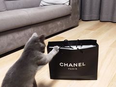 -CHANEL(恒隆广场店)