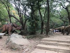 -木兰云雾山