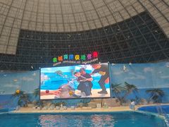 -泉城欧乐堡海洋极地世界