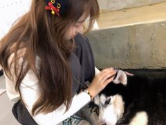 -共舞时光猫咖·狗咖(新街口店)