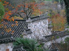 -塔川景区