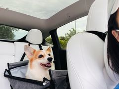 -多乐狗狗宠物训练工作室