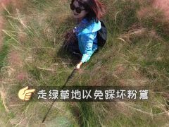 -王借岗森林公园