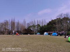 -上海滨江森林公园