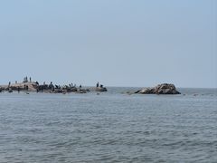 -老虎石海上公园