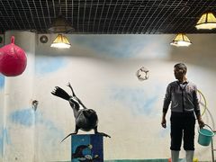 -嘉兴海底世界