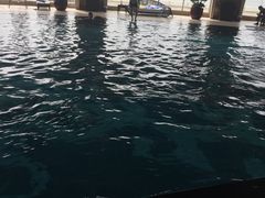 -秦皇国际大酒店健身中心