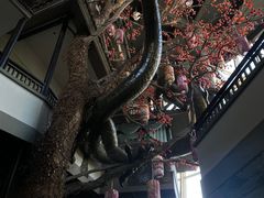 -老李家土菜馆·安吉地标美食