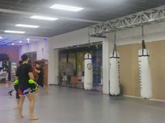 -拳义格斗搏击散打泰拳拳击俱乐部(裕华店)
