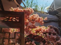 -丽江庭院之爱在路上(西单店)