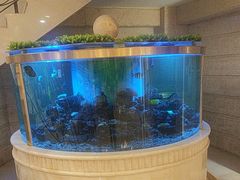 -碧中海汤泉汗蒸酒店