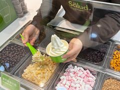 -Salud撒露欧洲冻酸奶(蓝色港湾店)