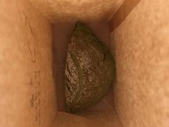 -七叔是岛民(花基新村店)