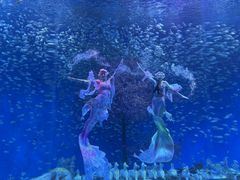 -合肥海洋世界