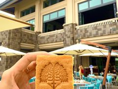 -海南清水湾莱佛士酒店