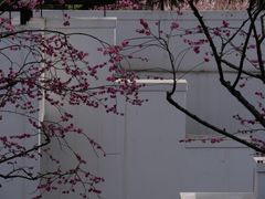 -无锡梅园公园