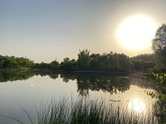 -东郊湿地公园