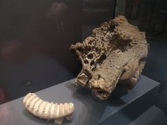 -贵州省博物馆(新馆)