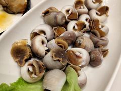 -高佳庄·舟山海鲜(海景旗舰店)