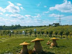 -紫颐香薰山谷景区