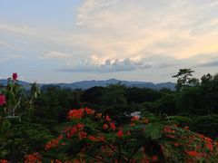 -中国科学院西双版纳热带植物园