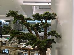 -喜鼎海胆水饺(平安金融中心店)
