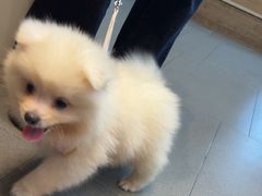-联合动物医院(光谷诊疗中心)