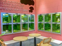 -芸山季·云南野生菌火锅(宝能环球汇店)