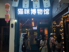 -猫咪博物馆(顶澳仔猫街店)